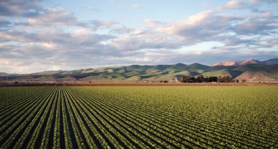 Contributi agricoltura: tutte le iniziative per il settore nel 2023