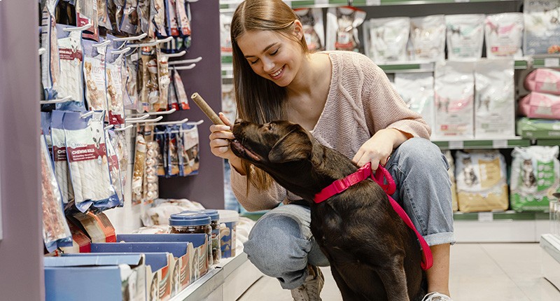 Come aprire un negozio di animali: costi, procedura e requisiti