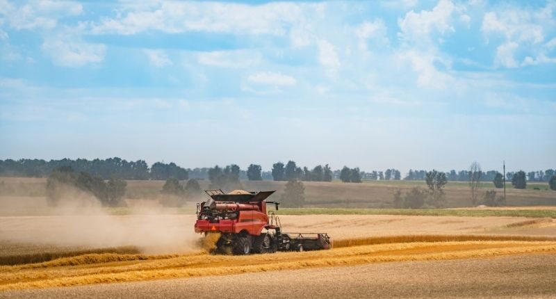 autofattura agricola esempio