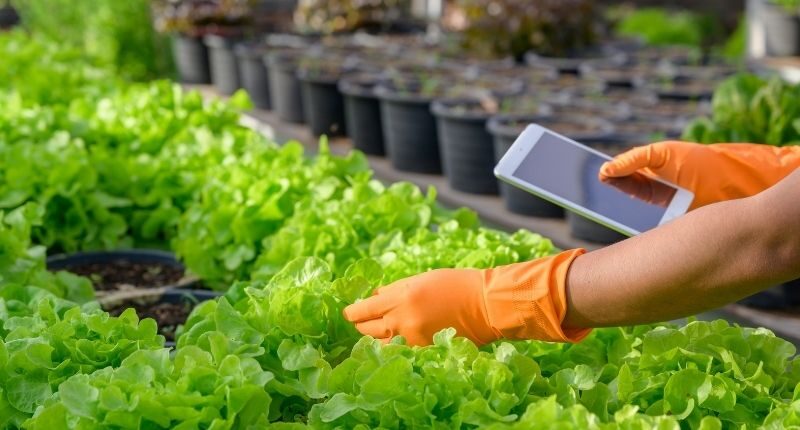 come funziona partita iva agricola