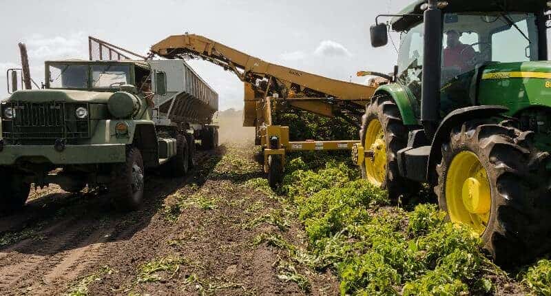 Contributi per l'agricoltura