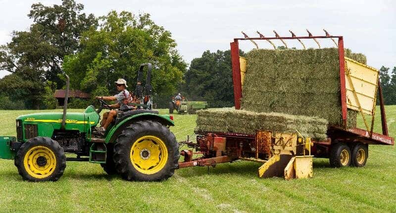 Contributi imprese agricole