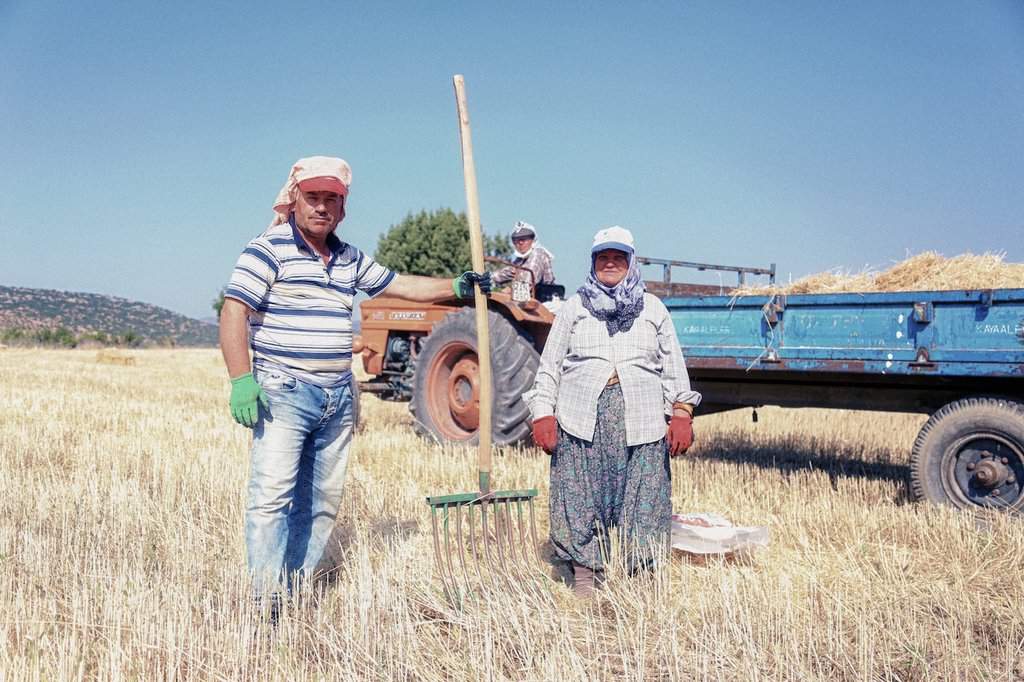 Contributi a fondo perduto per l'agricoltura come richiedere 20.000 euro