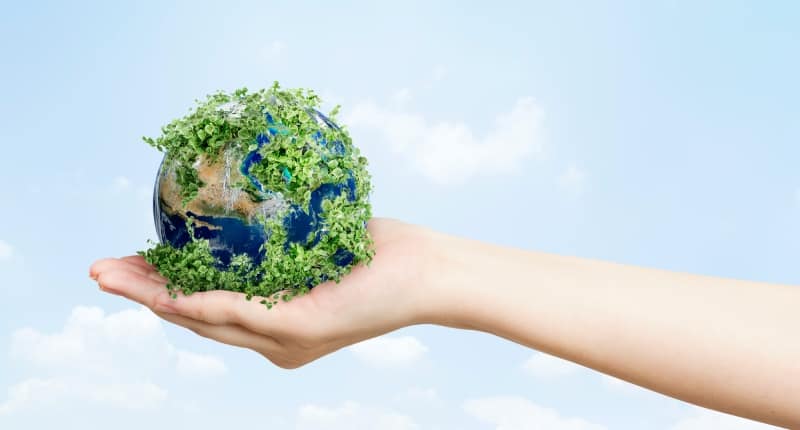 Green economy: cos’è, vantaggi e svantaggi