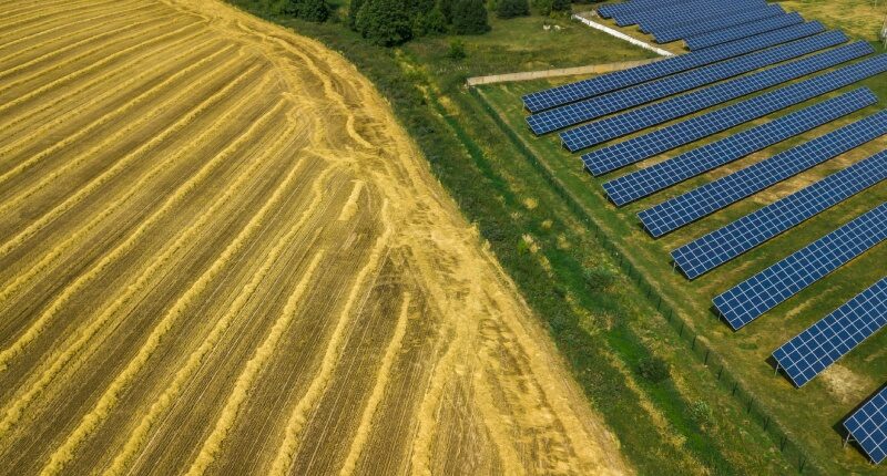 Fotovoltaico e imprese agricole