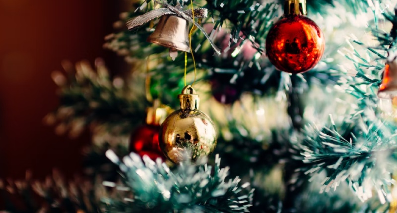 bonus natale in busta paga