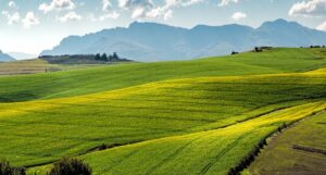 Quanto costa un terreno agricolo