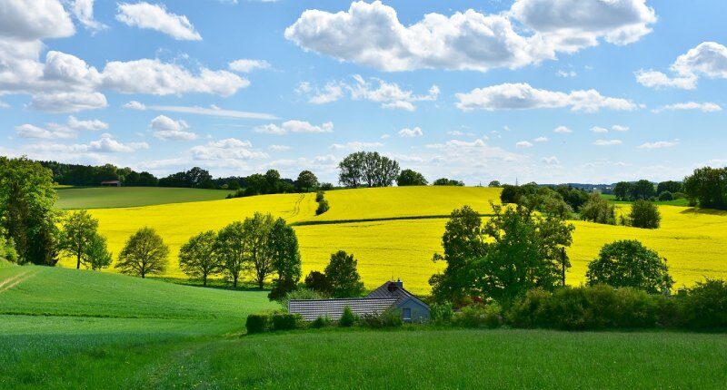 Quanto costa un terreno agricolo prezzo