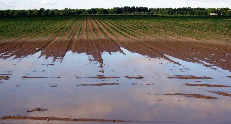 Alluvione Emilia Romagna