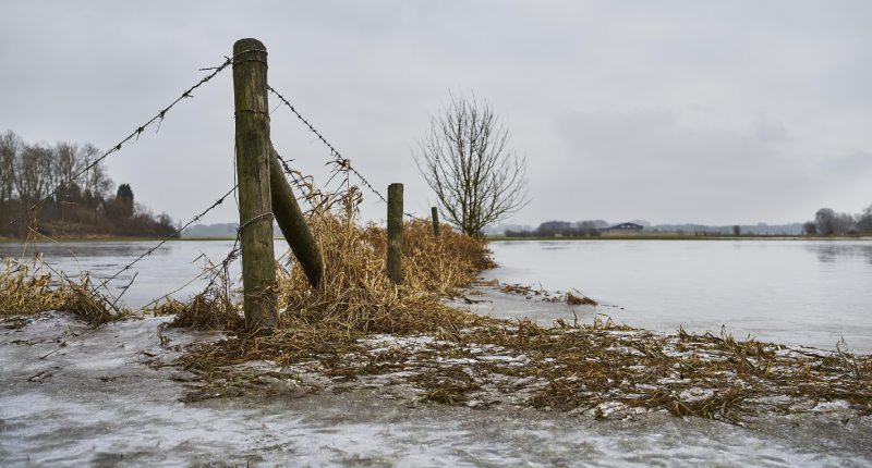 alluvione aiuti emilia romagna