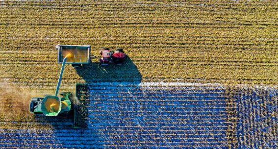Nuovi fondi PAC per l’agricoltura, in arrivo più di 10 miliardi per l’Italia: come richiedere gli aiuti
