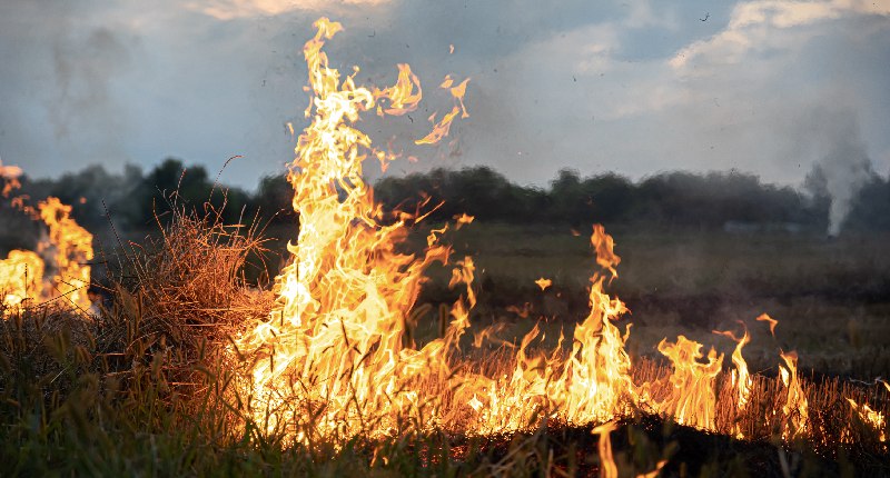 maltempo e incendi