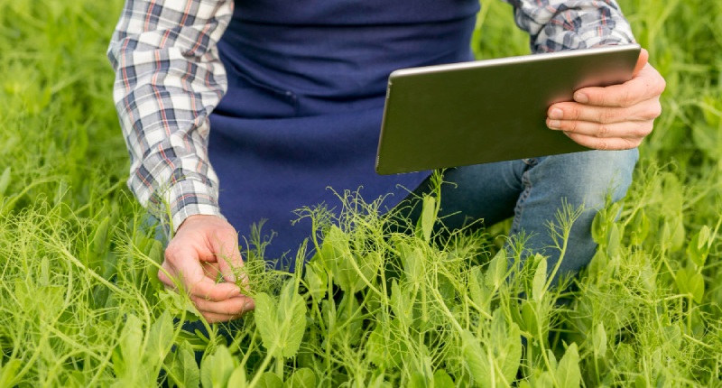 impresa agricola partita iva