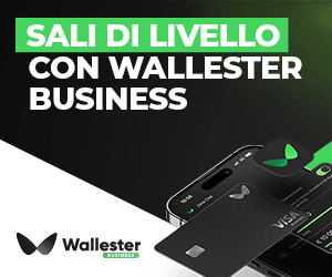 wallester business