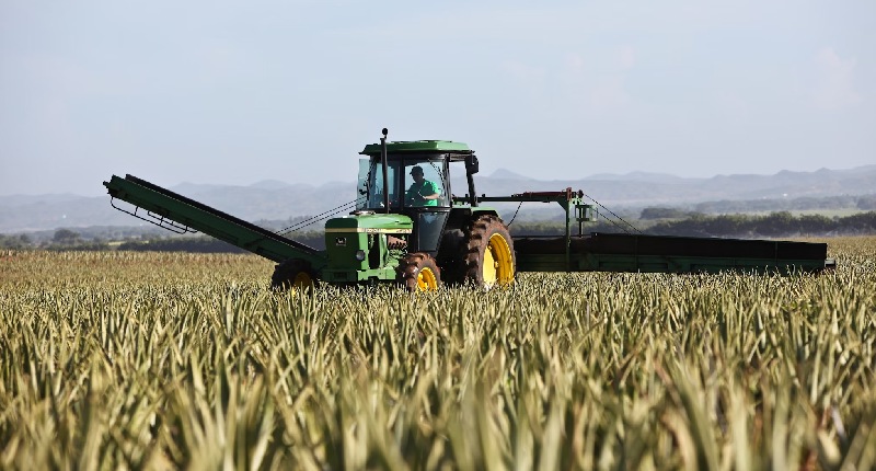 proteste agricoltori italia