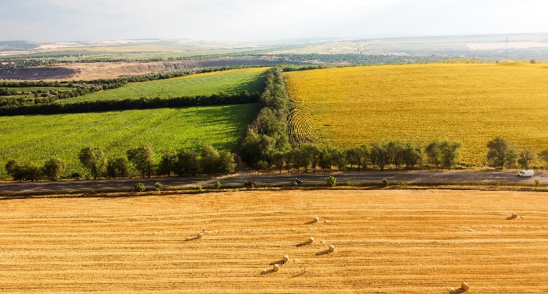 terreno agricolo decreto