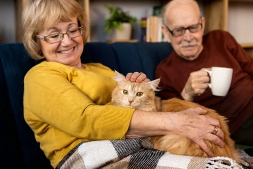 Bonus cani e gatti 2025 approvato: i requisiti per risparmiare sulle visite veterinarie