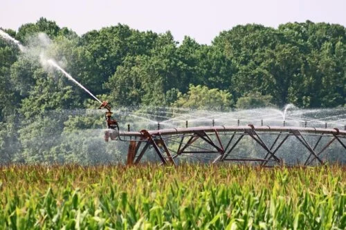 Bonus formazione giovani imprenditori agricoli 2025, al via le domande