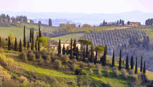 Trasferirsi in un “paradiso” italiano, ricevere bonus e pagare meno tasse: le opportunità per PMI e professionisti