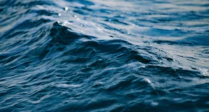 blu economy