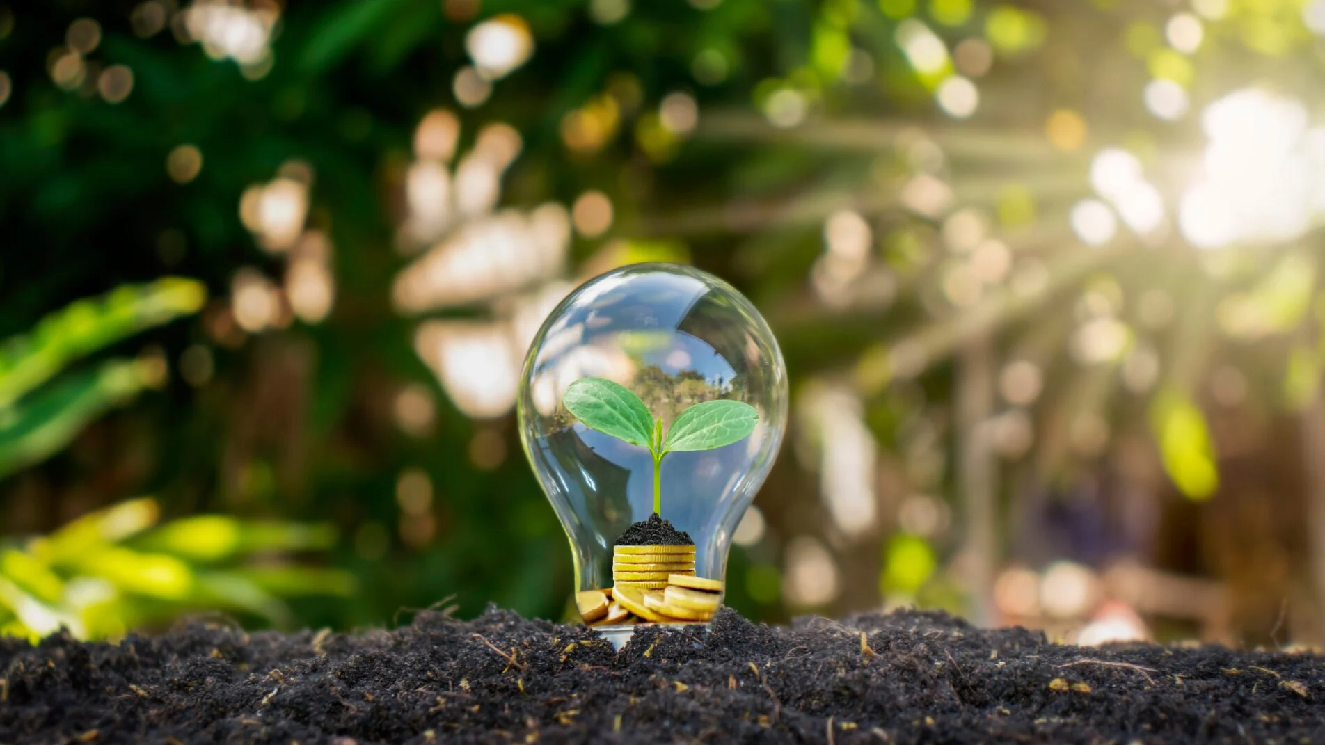 Piano sociale per il clima