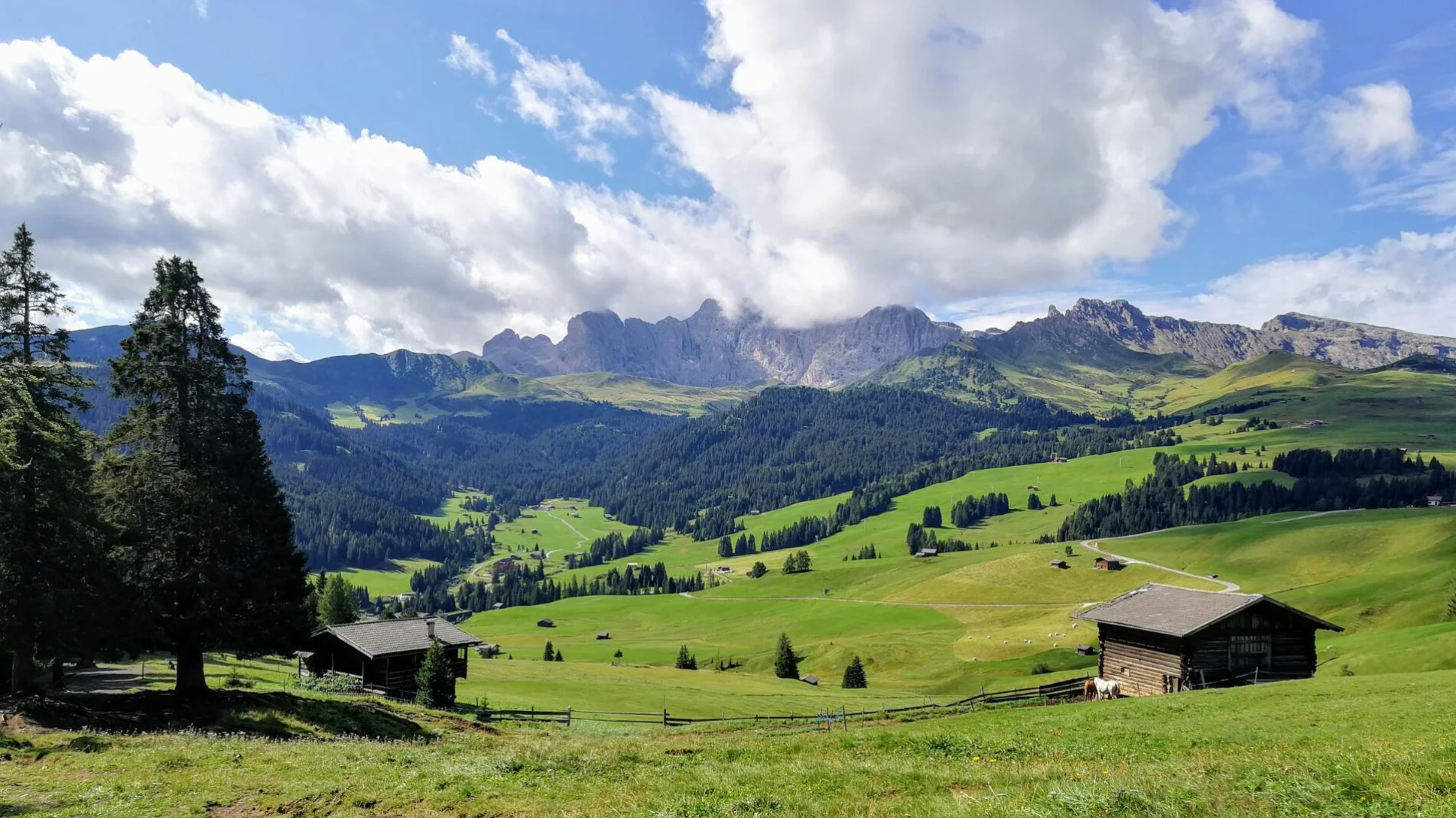 bando borghi trentino 2025