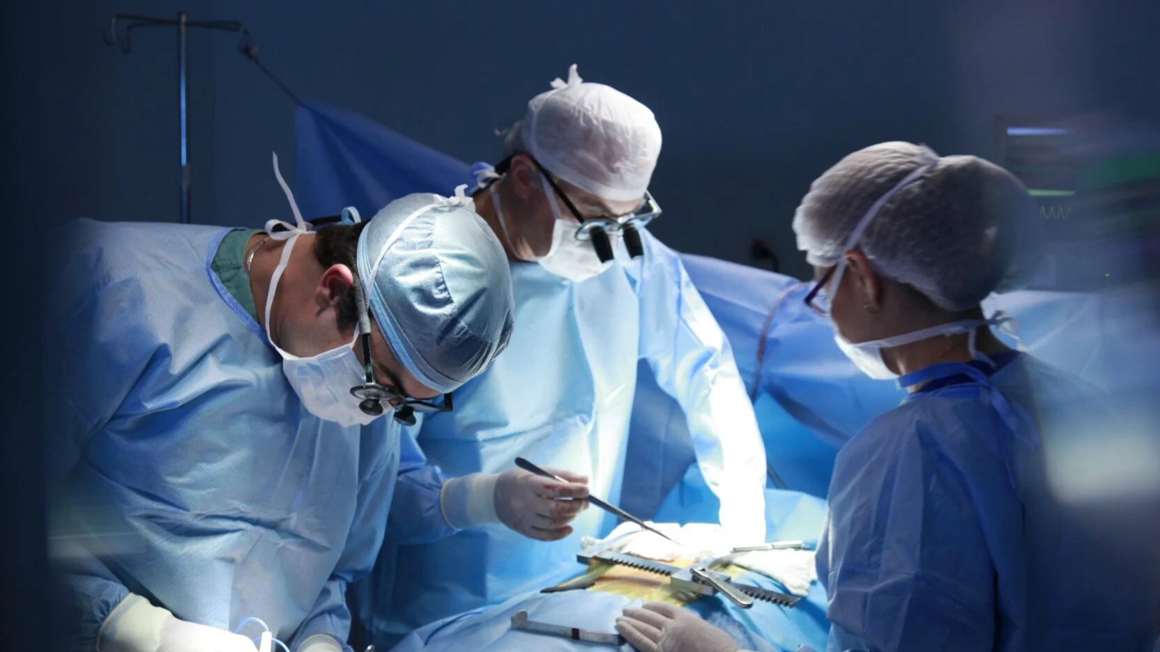 riforma delle professioni