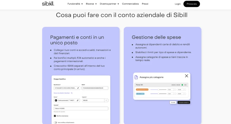 come funziona conto business Sibill