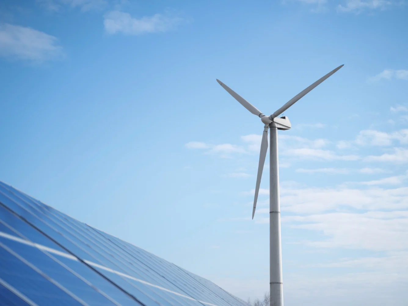 Energia fonti rinnovabili imprese italia